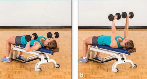 如何鍛煉出健碩胸肌 5個(gè)高效動(dòng)作與腿部訓(xùn)練器的協(xié)同作用